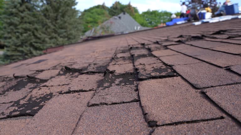 Best Storm Damage Roof Repair  in College Station, TX